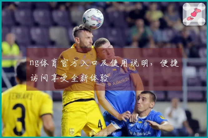 ng体育官方入口及使用说明，便捷访问享受全新体验