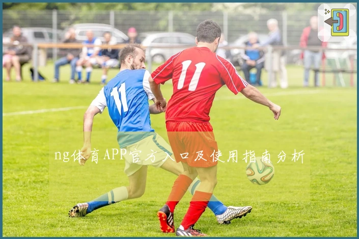 ng体育APP官方入口及使用指南分析