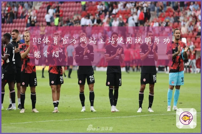 ng体育官方网站主站使用说明与功能介绍