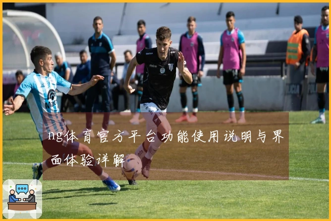 ng体育官方平台功能使用说明与界面体验详解